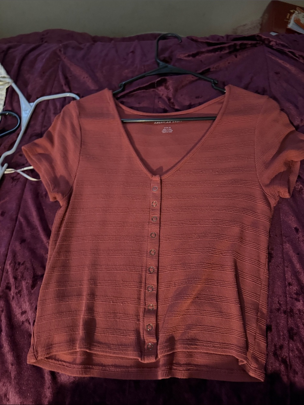 American Eagle Outfitters Rust Button-Front Ribbed Crop Top